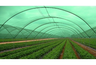 greenhouse_materials