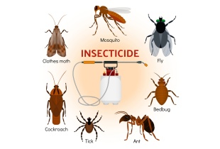 insecticides