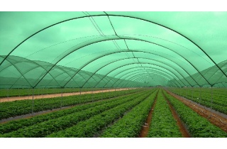 greenhouse_materials