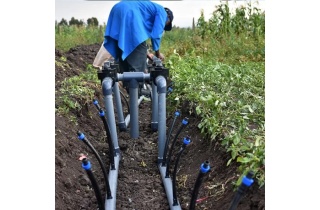 irrigation